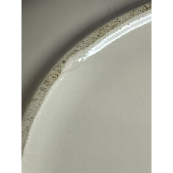 Pfaltzgraff Juniper Green Oval Serving Platter 14" USA - Picture 7 of 11